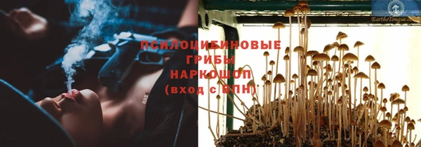 молекула духа Михайлов