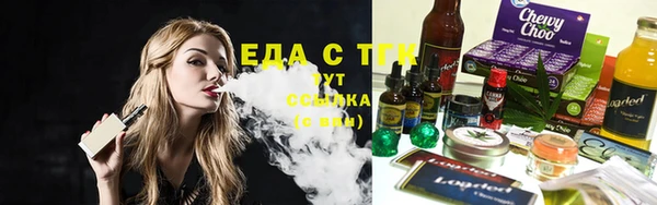 молекула духа Михайлов