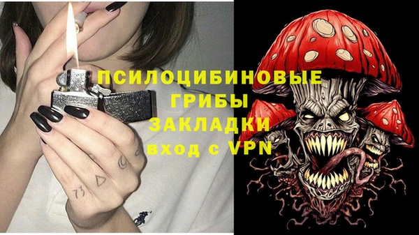 молекула духа Михайлов