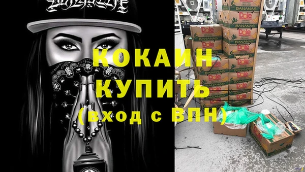 молекула духа Михайлов