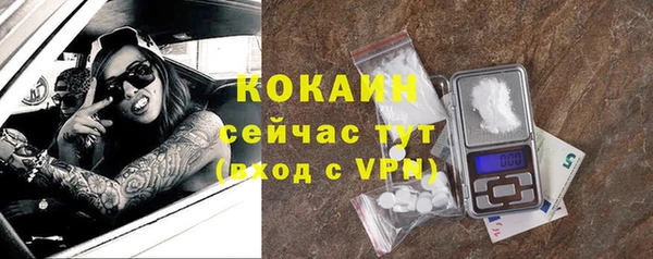 молекула духа Михайлов