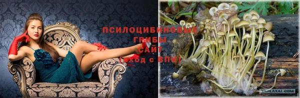 молекула духа Михайлов
