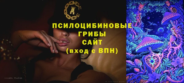 молекула духа Михайлов