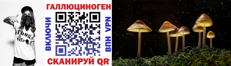 магазин наркотиков Белая Холуница Псилоцибиновые грибы прущие грибы